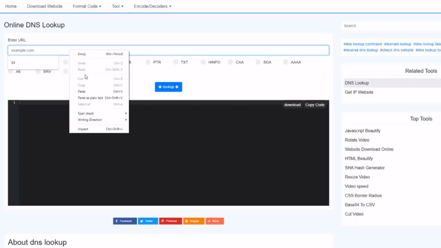Online DNS Lookup - Hämta DNS för webbplats, domän, värdnamn