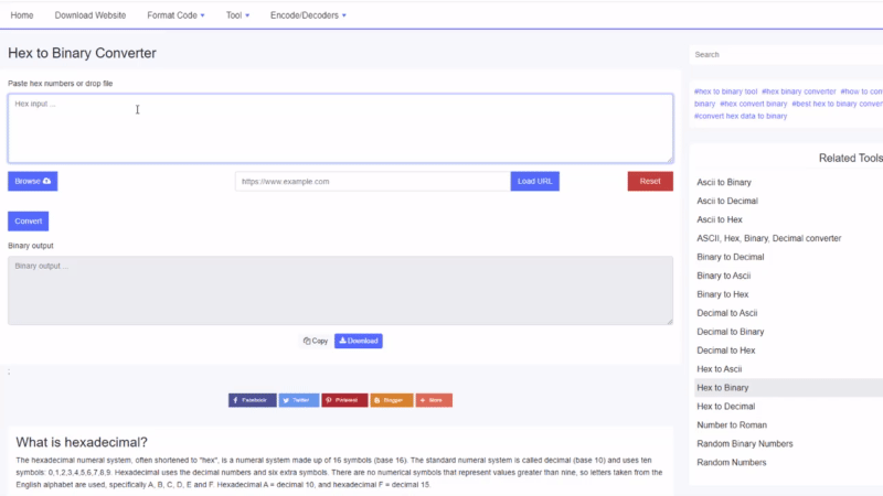 Konwerter szesnastkowy na binarny